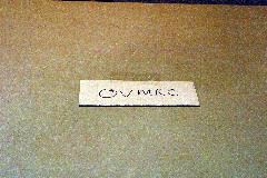 IMG_0958.JPG