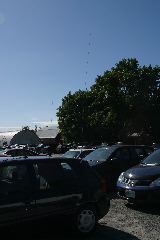IMG_1005.JPG