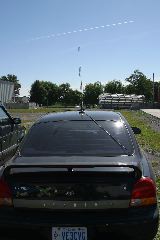 IMG_1037.JPG